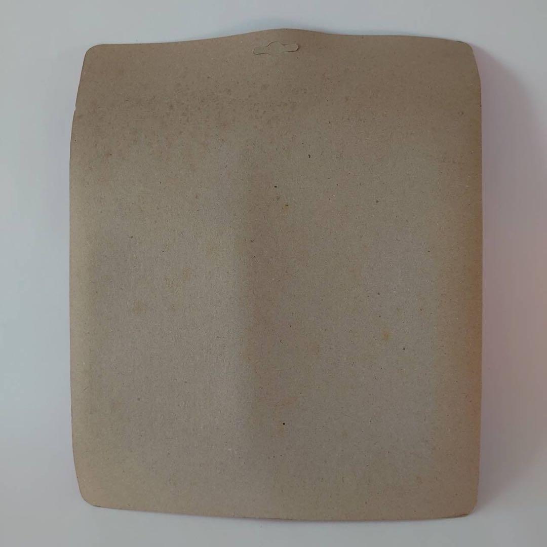 【激レア】ポピーソフビ スーパープロレスラーシリーズ テリーファンク