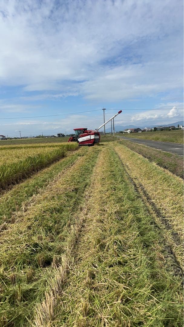 農家直送 新鮮な米 福岡県産 ヒノヒカリ 玄米30キロ