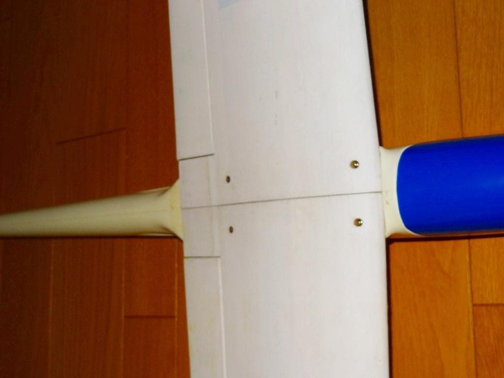 Le Petit Prince　BUSSARD 電動ラジコングライダー