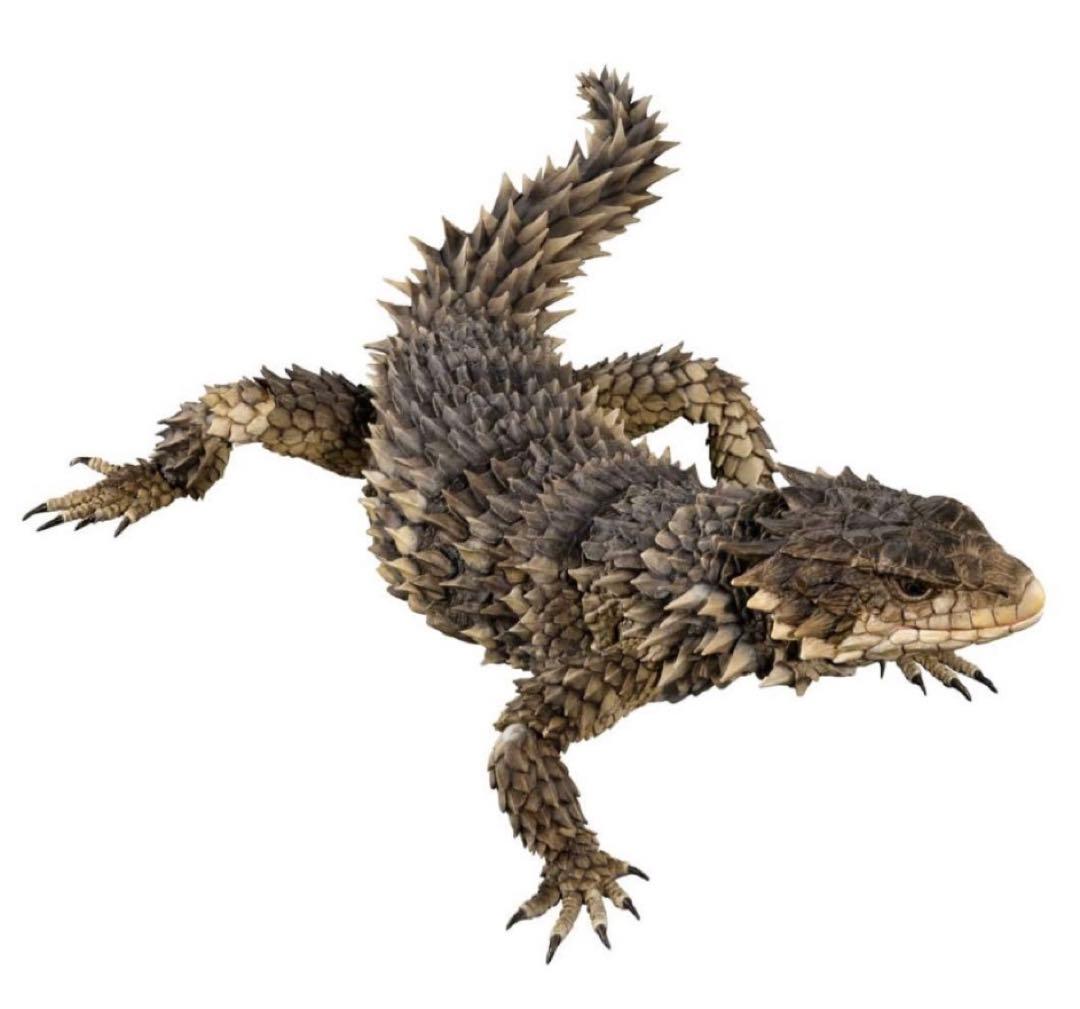 いきもの大図鑑アルティメット オオヨロイトカゲ 新品未開封