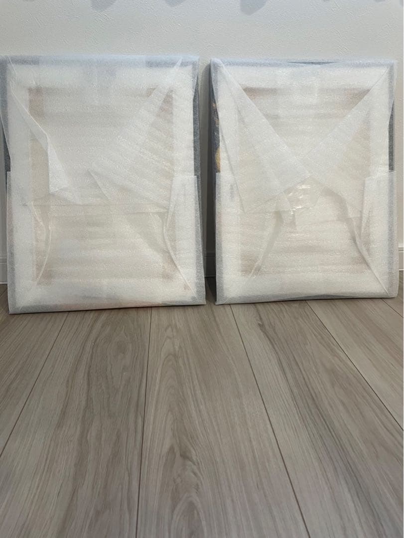 Pokemon ポケモン保証書有ゴッホピカチュウ イーブイキャンバスアート