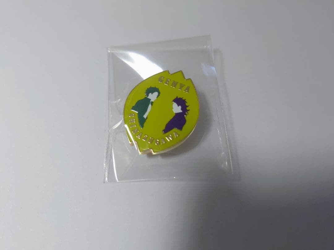 鬼滅の刃 隊士百景 コレクションピンズ 不死川実弥 不死川玄弥