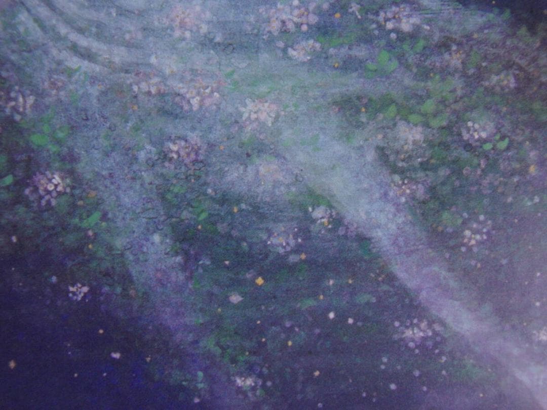 石踊達哉、【流星】、希少な額装用画集より、厳選、新品額装、マット額装付