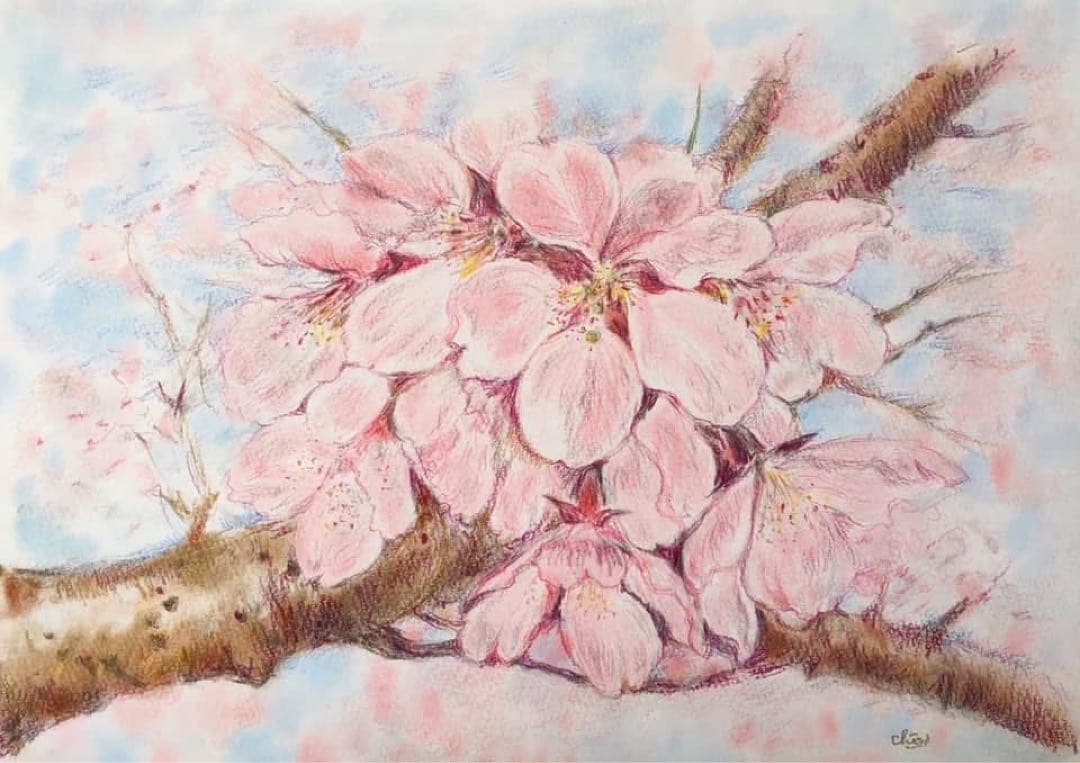 受注制作：花のパステル画