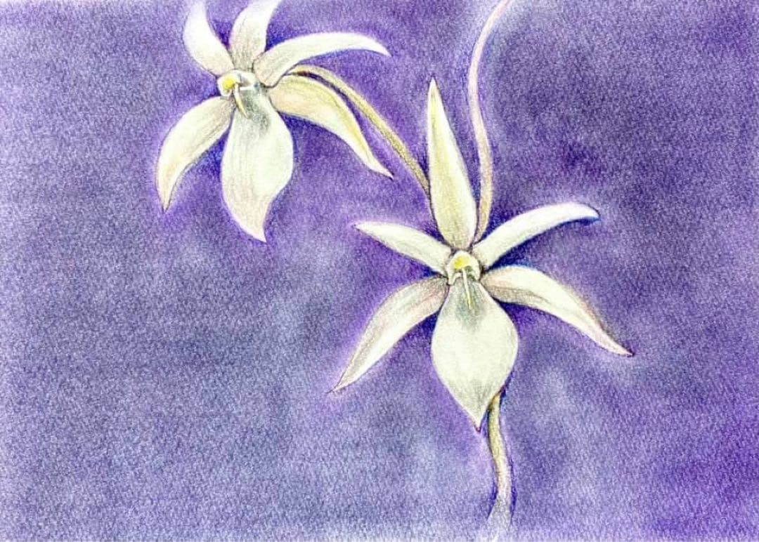 受注制作：花のパステル画