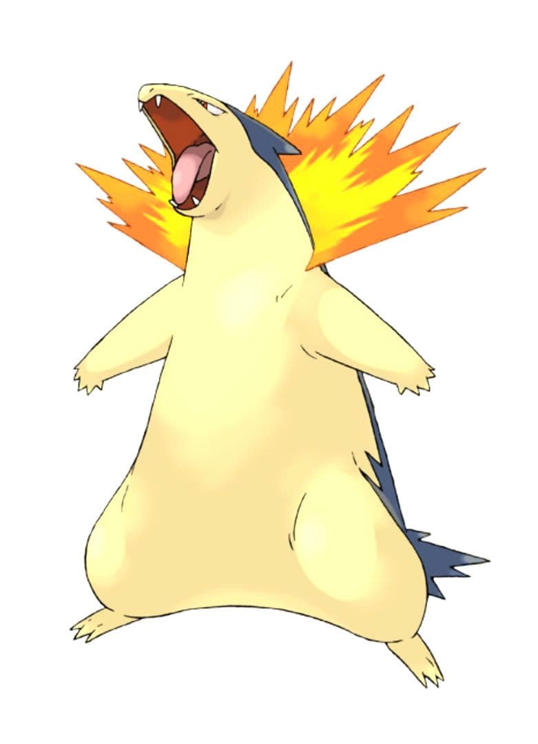 ■ポケットモンスター：モンスターコレクション▩ヒノアラシ・マグマラシ・バクフーン