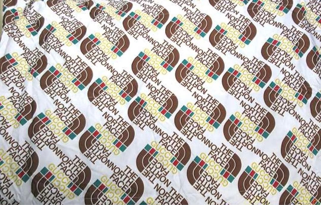 希少■ GUCCI×ノースフェイス コラボ！レア 寝袋 スリーピング TNF