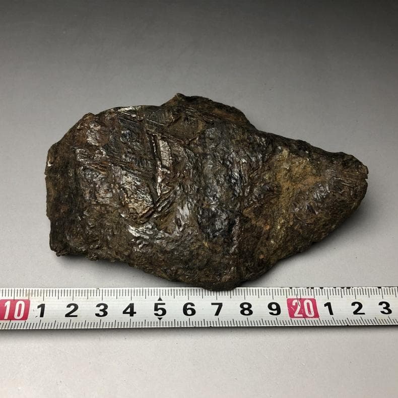 隕石 鉄隕石　アルタイ隕石　原皮付き　ナチュラル　原石　重さ約975ｇ　立て付き