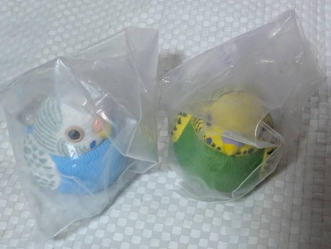 ふっくら福福インコ セキセイインコ2種 ガチャ　トレーディングフィギュア