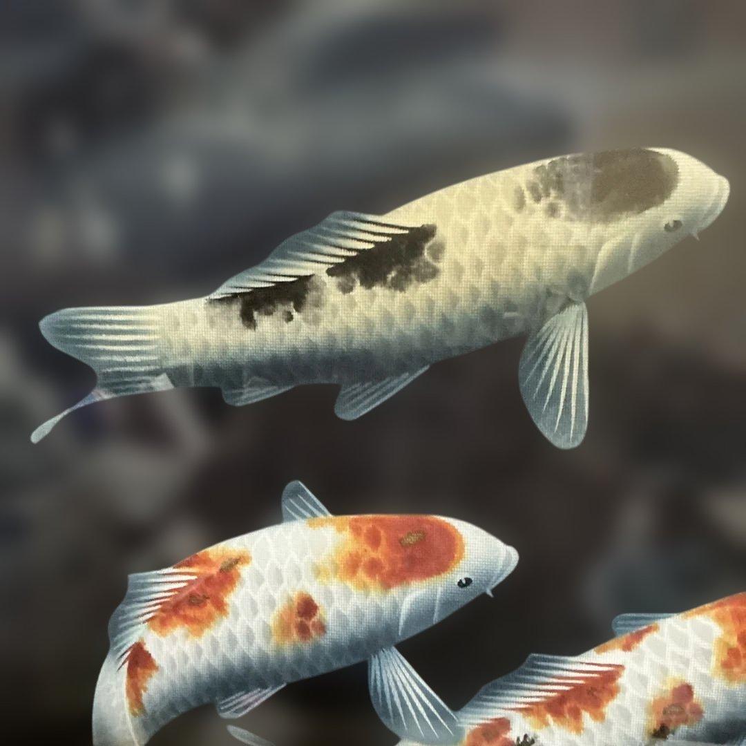 作者　海野春峰（うんのしゅんぽう）　「錦鯉」　美術名鑑評価　（最高傑作十号）