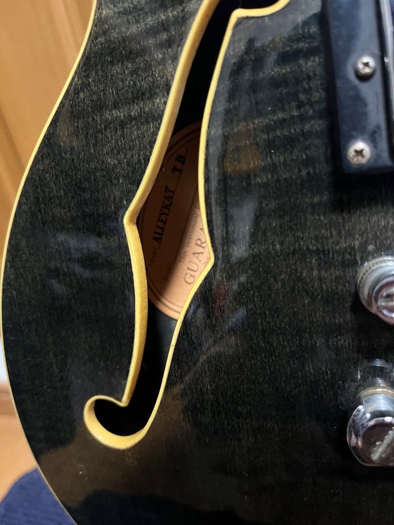 Epiphone Alleykat アレイキャット セミアコ