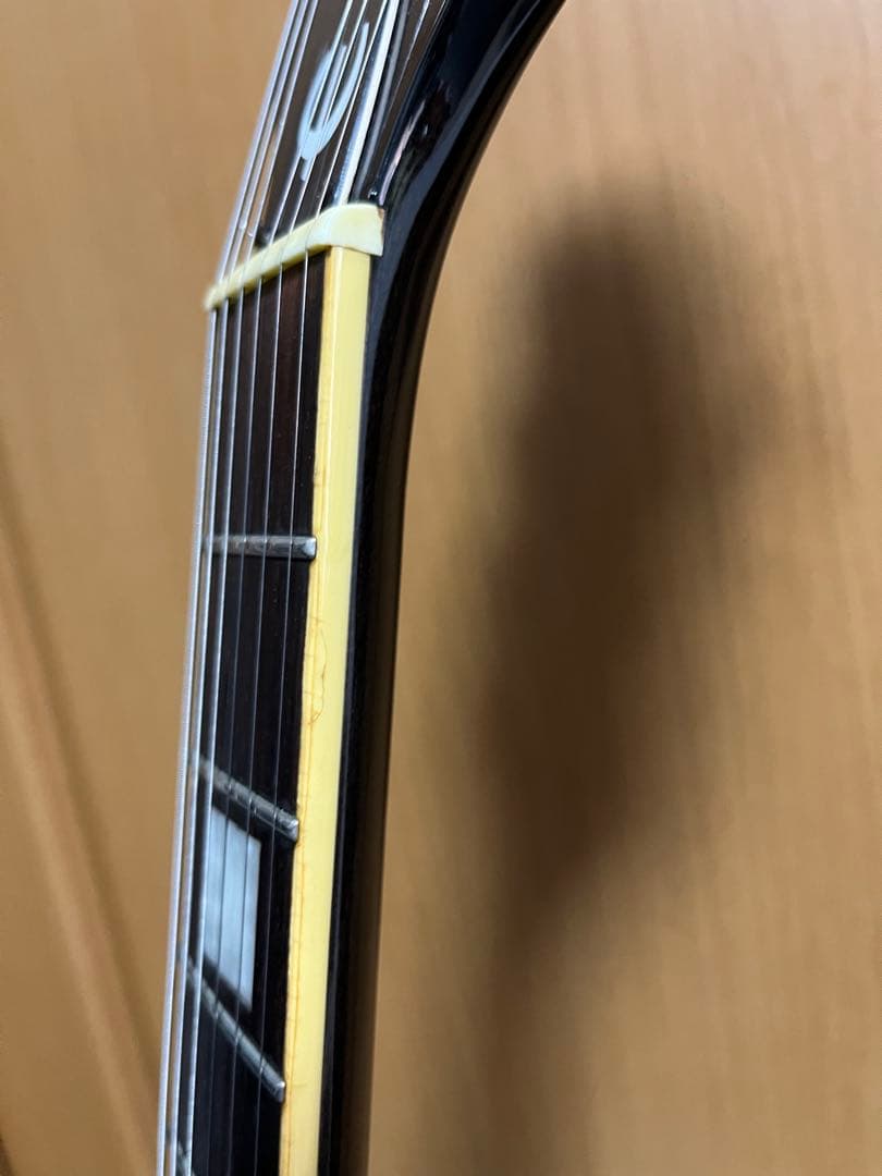 Epiphone Alleykat アレイキャット セミアコ