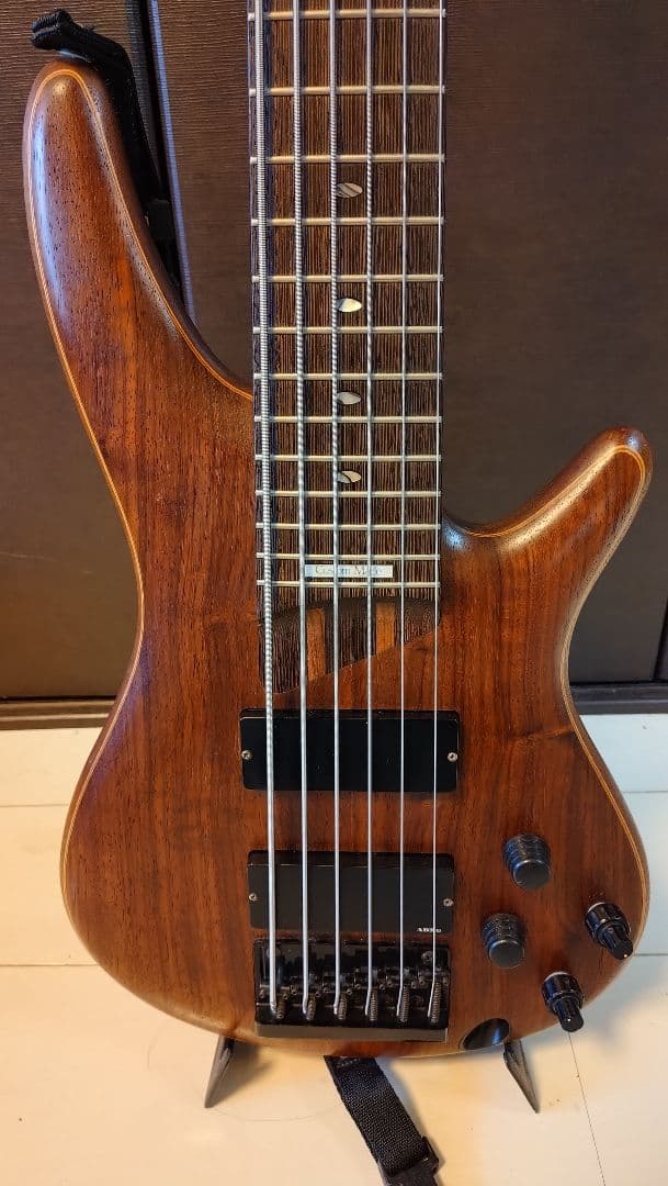 Ibanez SDGR 6弦エレキベース
