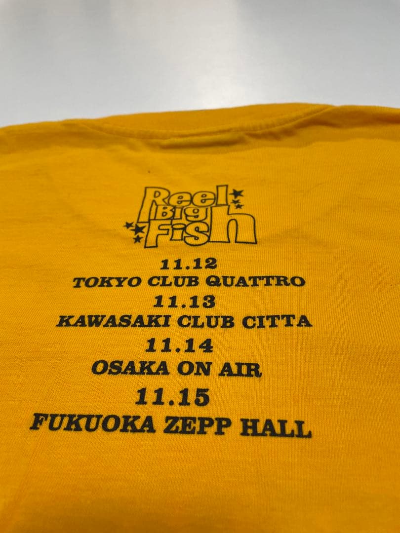 ヴィンテージ　Lサイズ　Reel Big Fish リールビッグフィッシュ