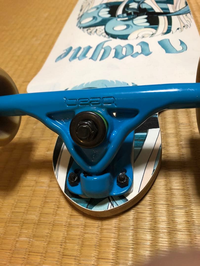 RAYNE ロングスケートボード ロンスケ 送料込 カナダ製