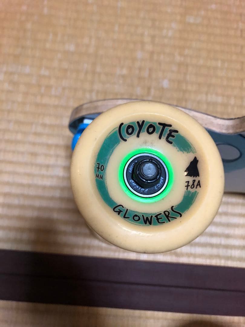 RAYNE ロングスケートボード ロンスケ 送料込 カナダ製