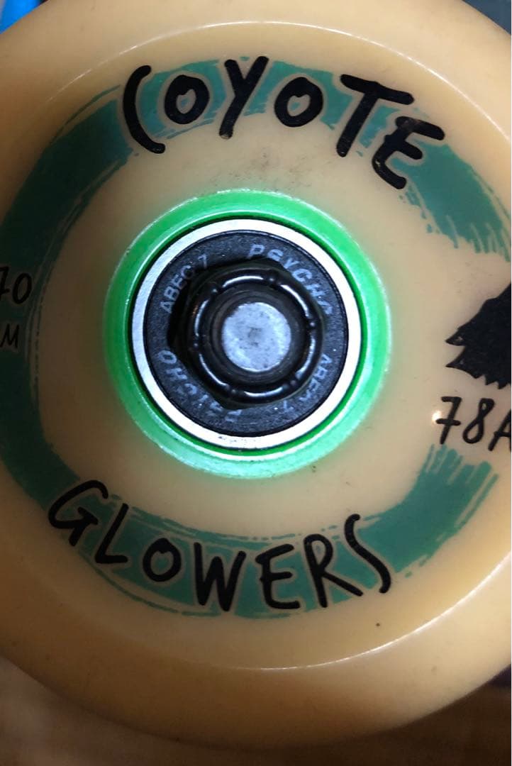 RAYNE ロングスケートボード ロンスケ 送料込 カナダ製