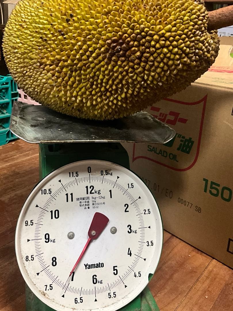 無農薬ジャックフルーツ (波羅蜜) 7kg西表島産