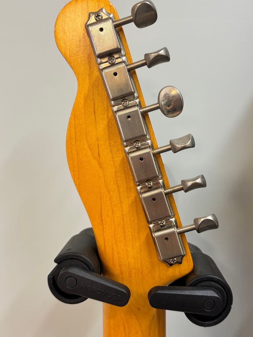 Vanzandt TLV-R2 【マダガスカルローズ指板】美品