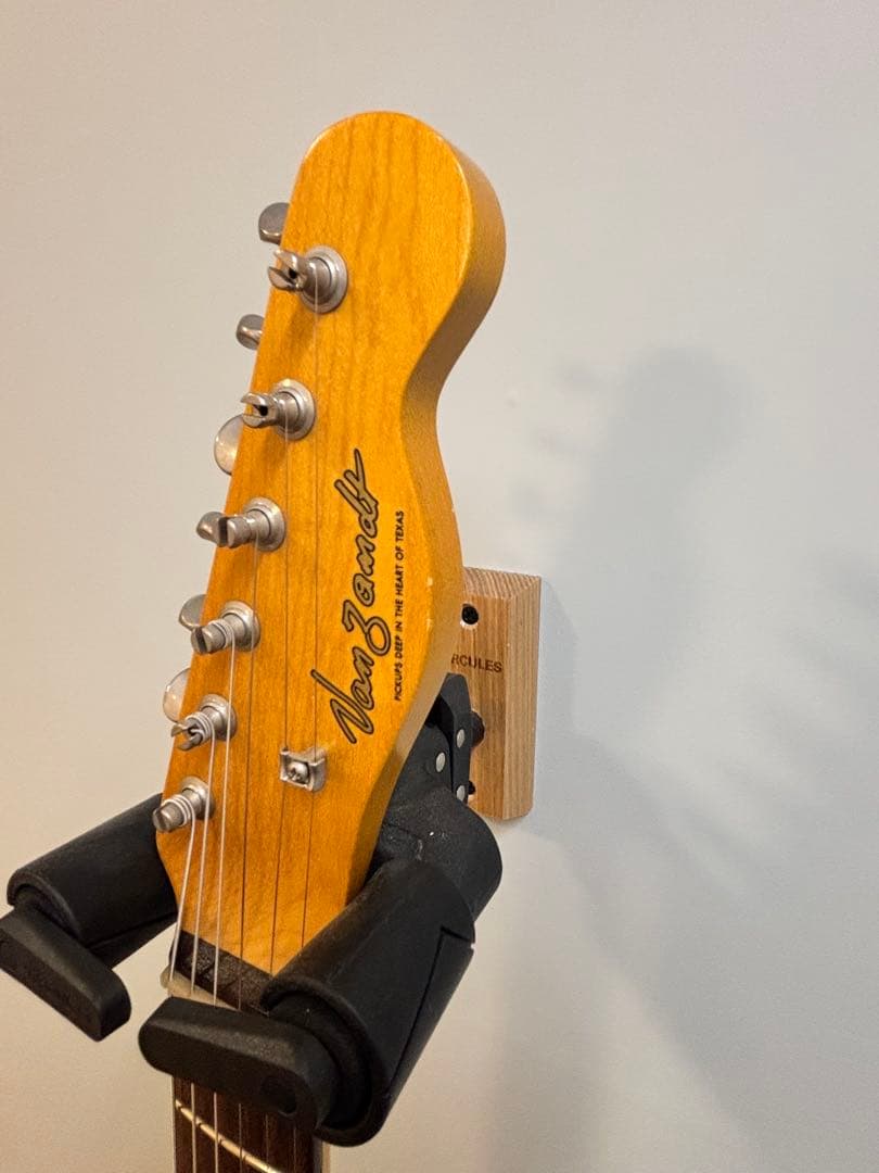 Vanzandt TLV-R2 【マダガスカルローズ指板】美品