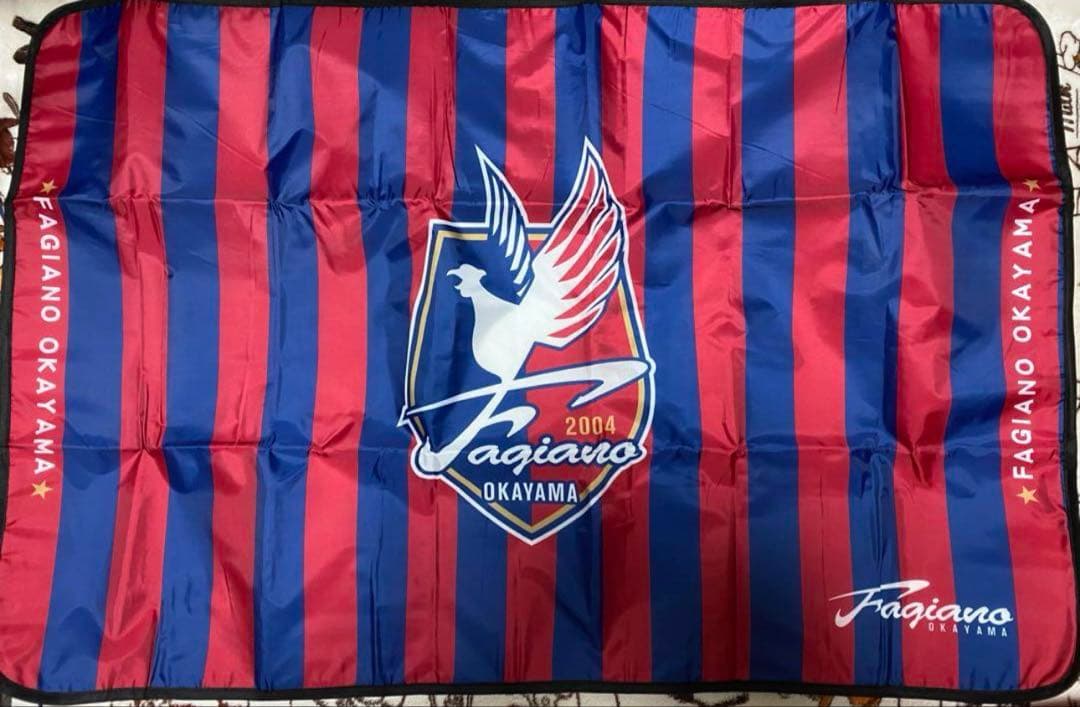 ファジアーノ岡山 ファジ丸 ビッグ ぬいぐるみ レジャーシート クッション など