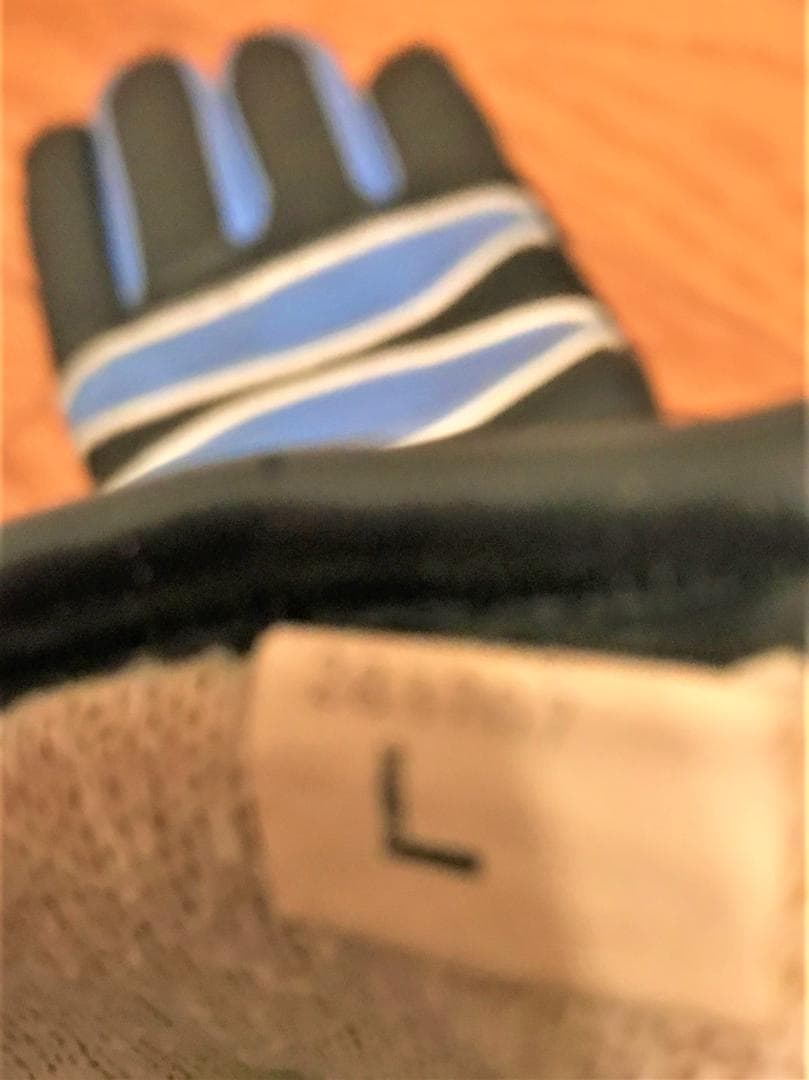 お値引！SWANS サングラス、メンズ スキーグローブ２点　計３点セット