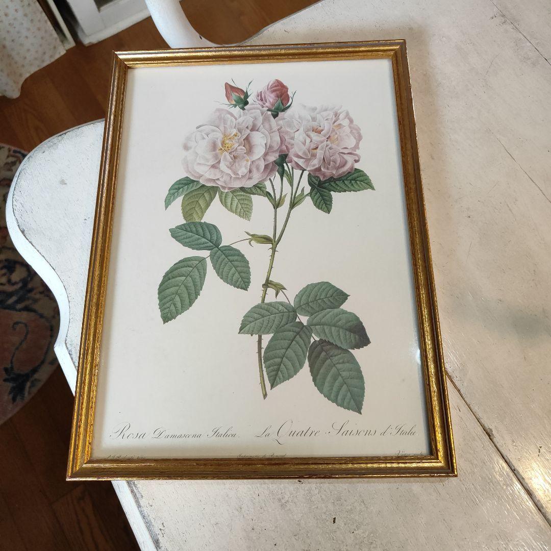 ボタニカルアート 植物画 アンティークフレーム入り