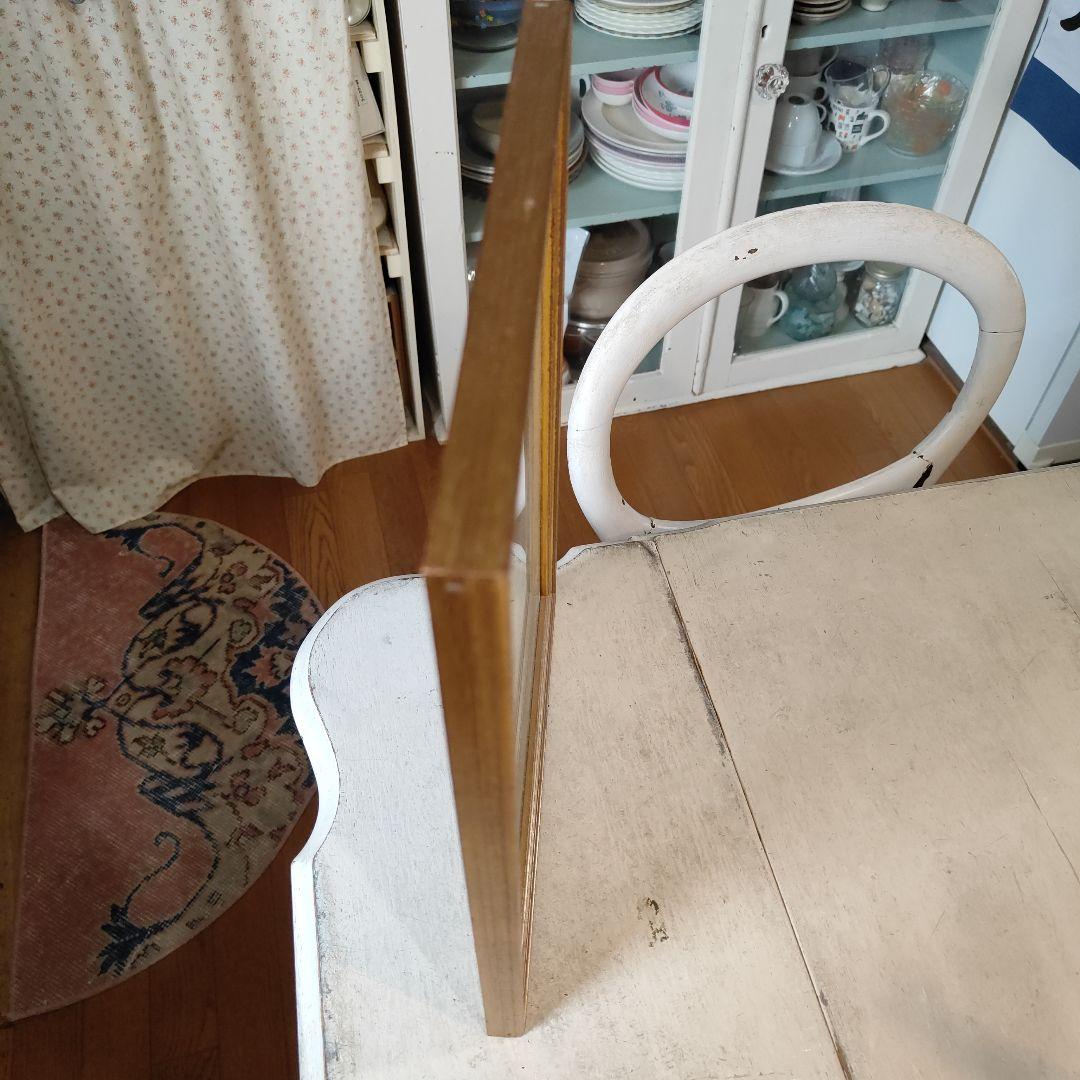 ボタニカルアート 植物画 アンティークフレーム入り