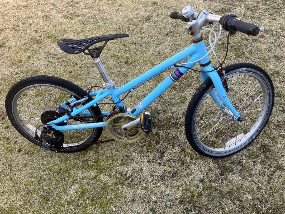 軽量アルミ riteway ZIT2020 水色 キッズバイク 20インチ