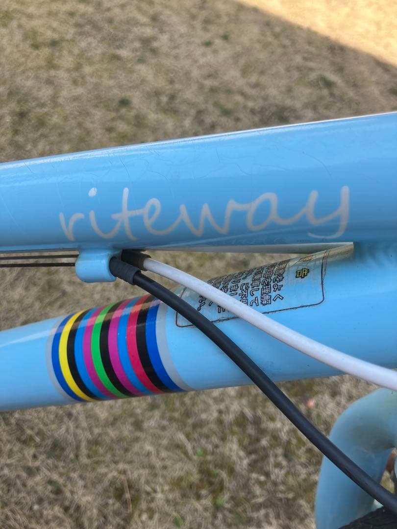軽量アルミ riteway ZIT2020 水色 キッズバイク 20インチ