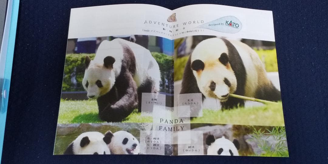 287系 パンダくろしお 10-1506