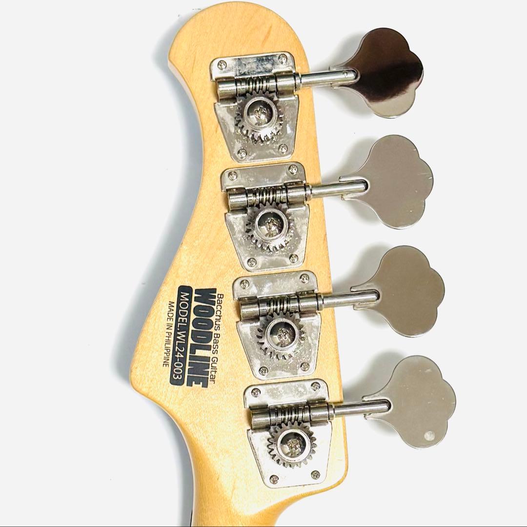 廃番希少！ Bacchus WOODLINE model WL24-003