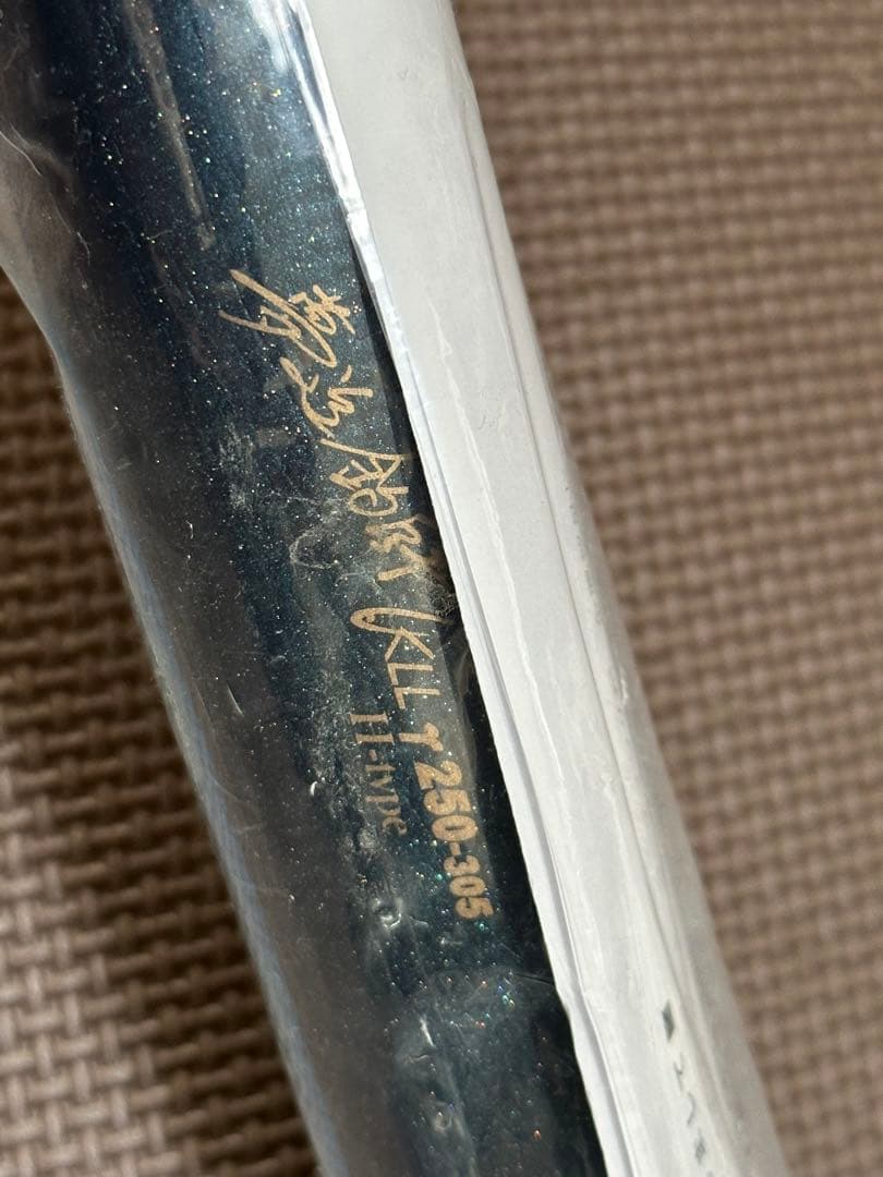 カーペンター　ガンマ　γ250 ガンマ250