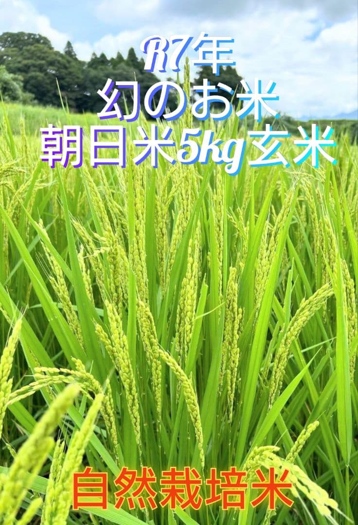 2 R7年 自然栽培米 2品種食べ比べセット10kg（5kg×2）玄米 セット