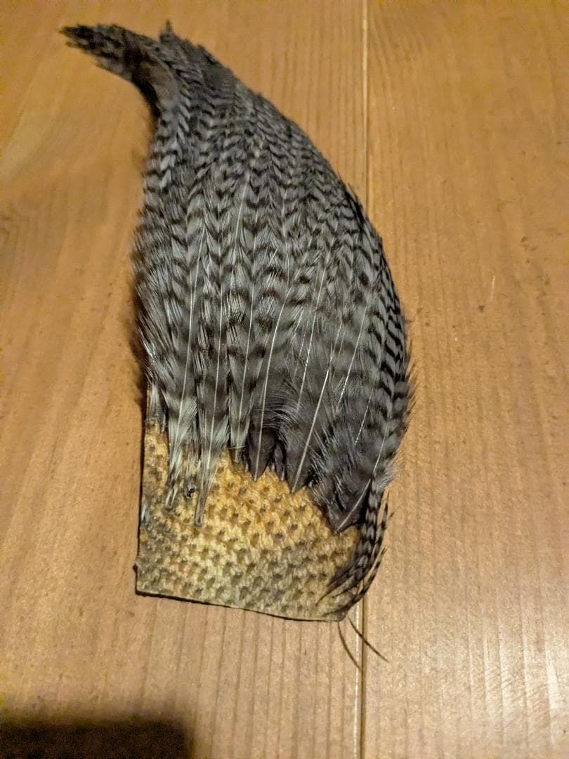 博*）様 フライマテリアル