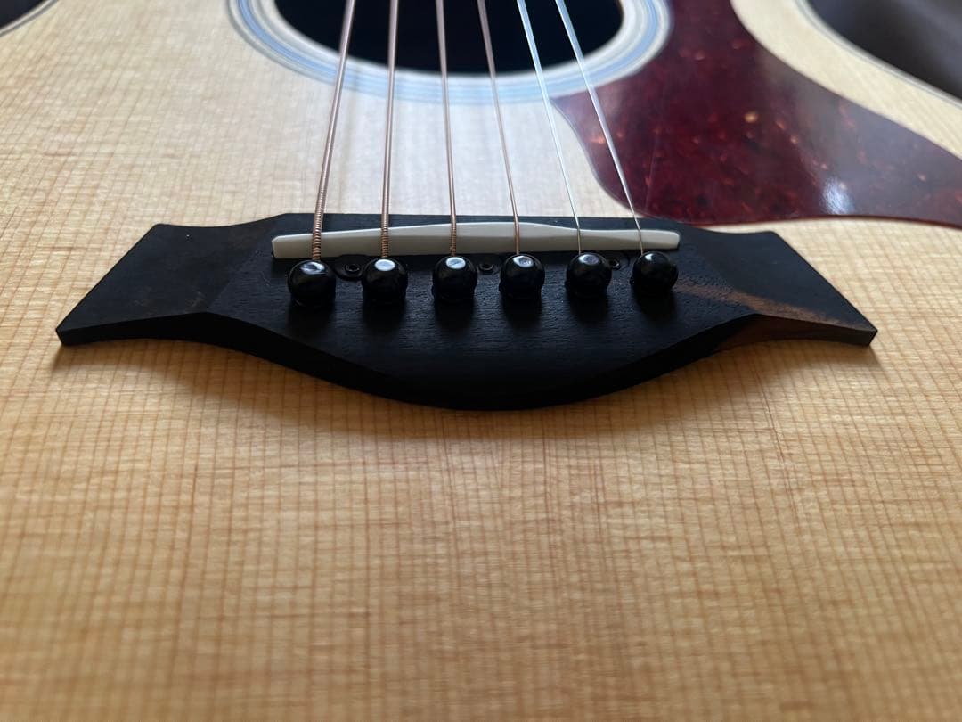 Taylor Guitars ( テイラーギター ) GS Mini-e