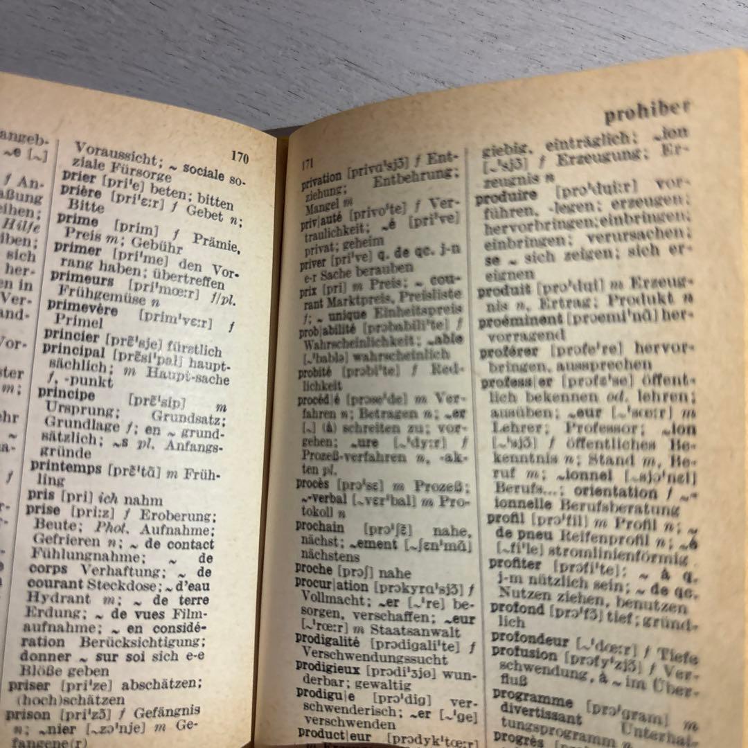 超希少品　フランス　本　古書　アンティーク