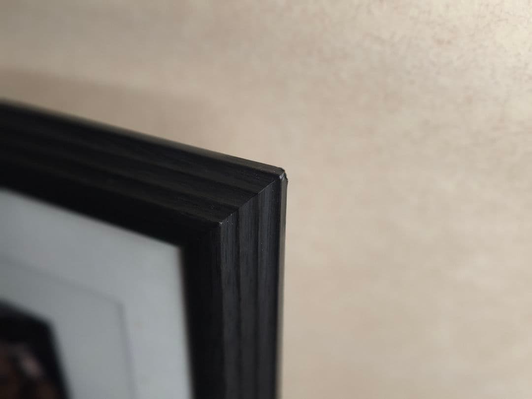 【100枚限定】ポケモン コレクタブルアート レックウザ逆鱗 一桁シリアル番号