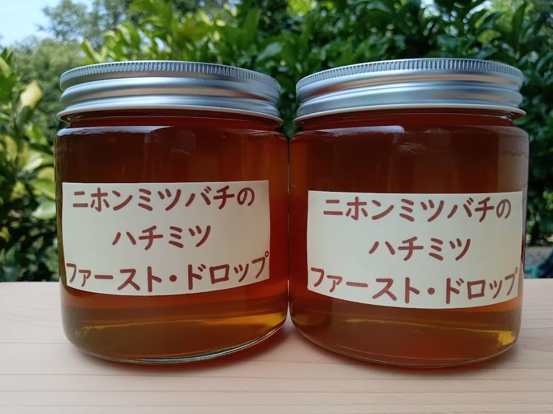「二ホンミツバチのハチミツ　ファースト・ドロップ」600g×2本