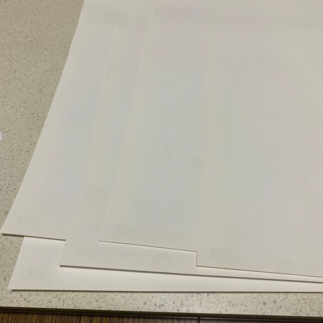 【超美品】MALICE MIZER Gardenia ポスター