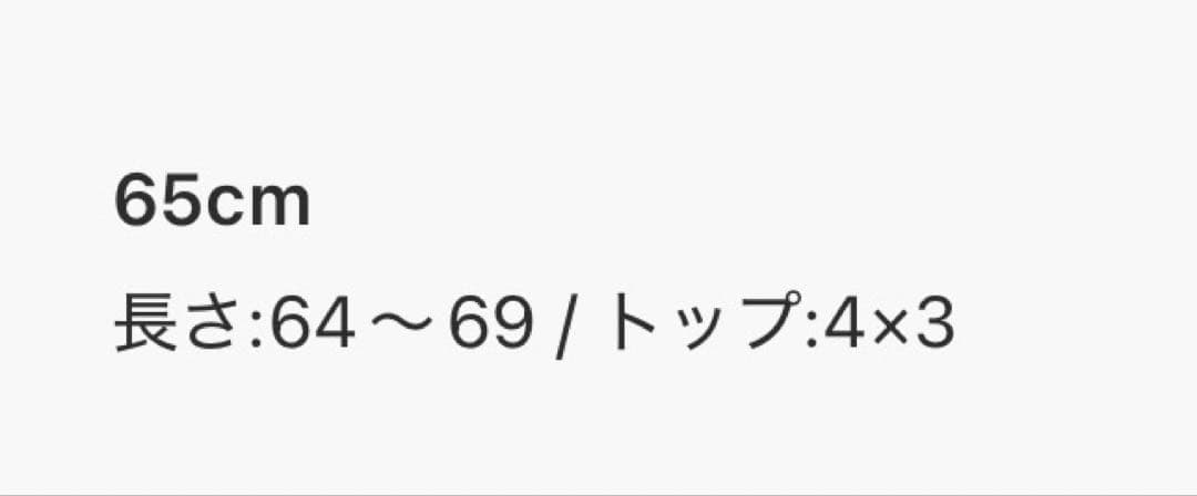 ANNA SUI ディズニースノードームペンダント