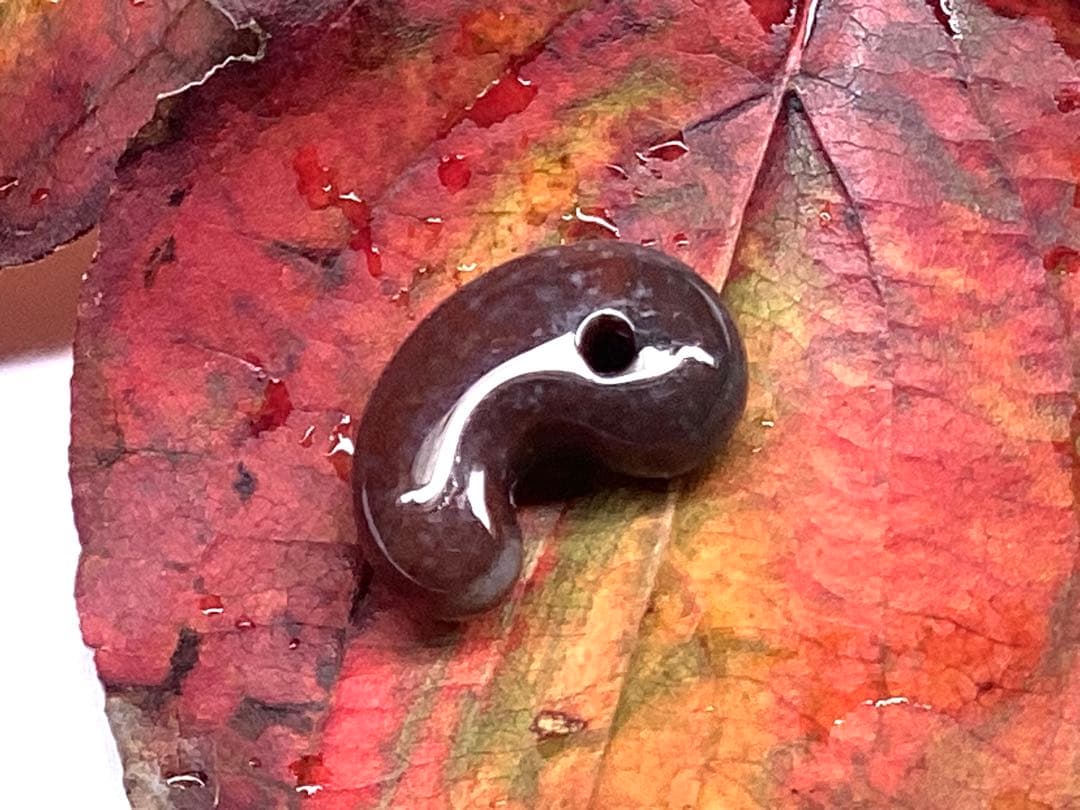 超レア‼️伊勢青石 コレクション　赤茶【ヘマタイト】　レア勾玉　鑑別書無しの安価‼️