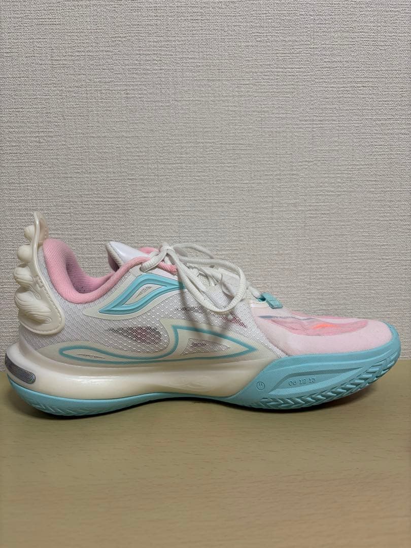LI-NING Wade All City 11 24.5cm 美品