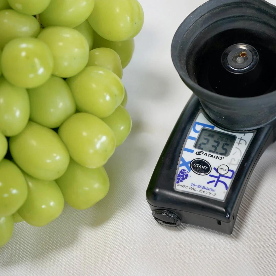 コ*ク様 【岡山県産】 5kg 秀品 高級シャインマスカット 甘～い!大粒 7〜