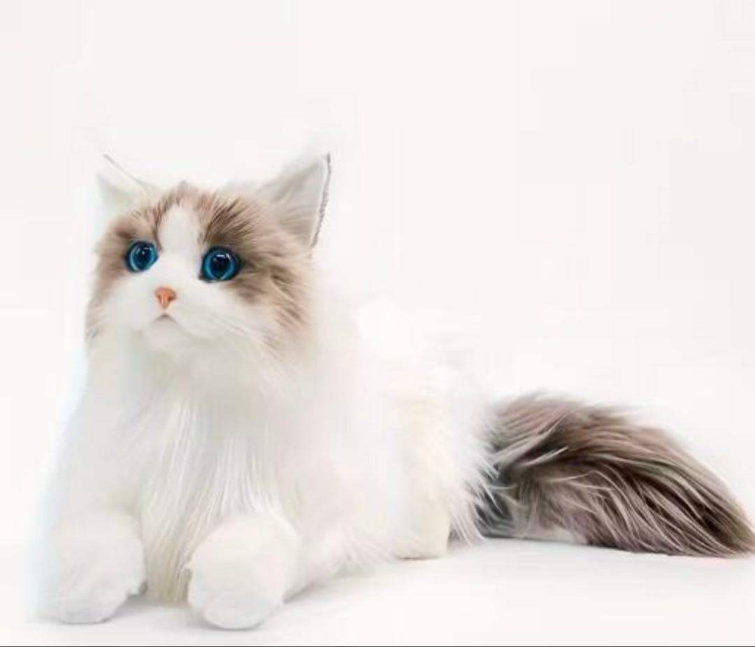 猫 ねこ ぬいぐるみ 新品未使用 全約50cm