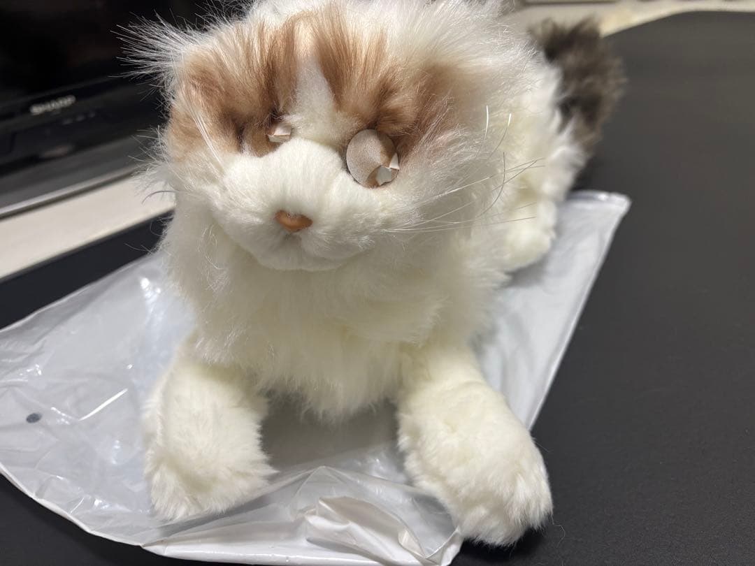 猫 ねこ ぬいぐるみ 新品未使用 全約50cm