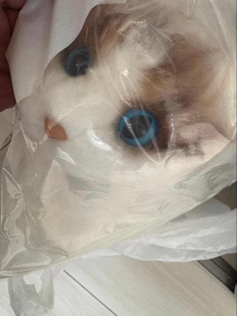 猫 ねこ ぬいぐるみ 新品未使用 全約50cm