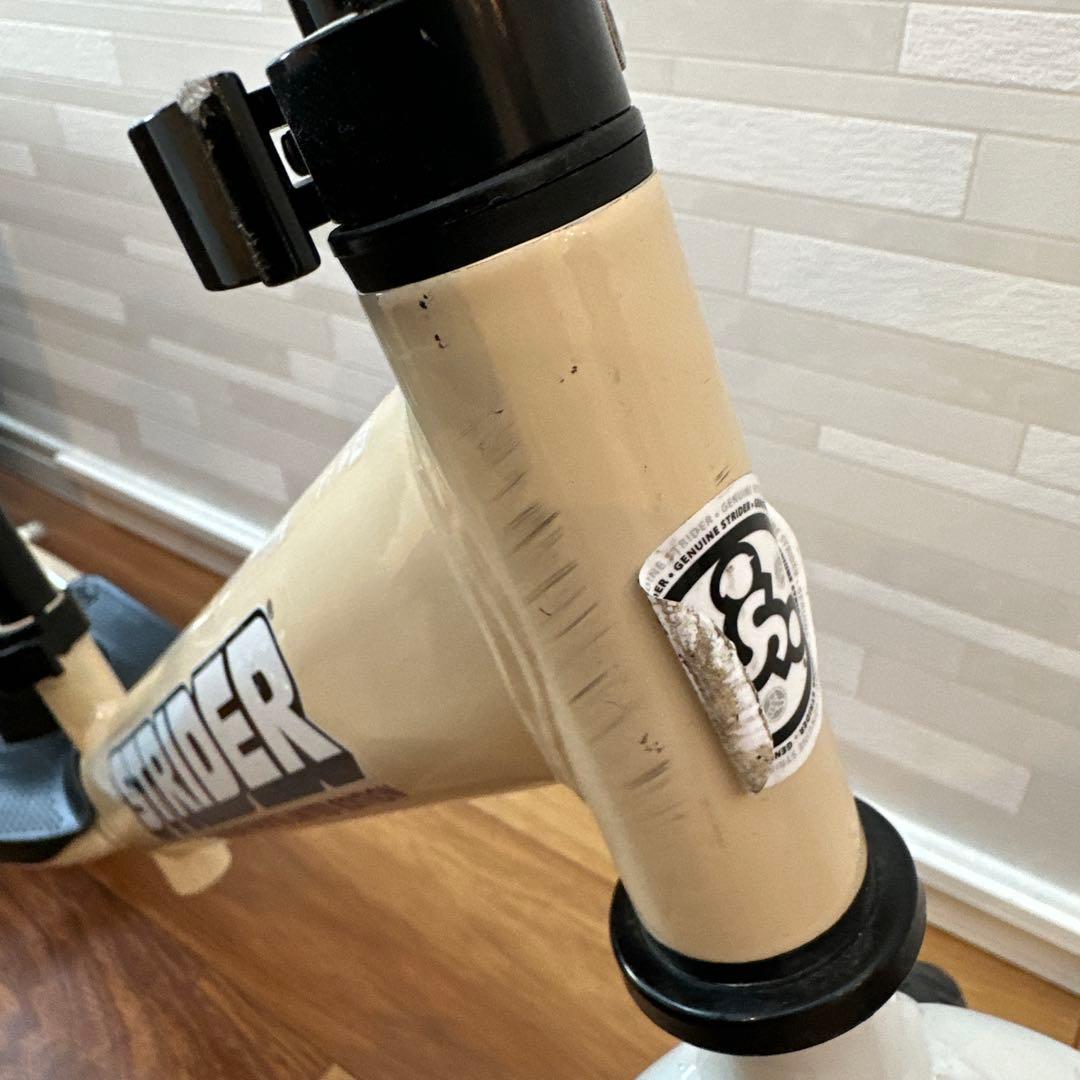 STRIDER SPORTS ムラサキスポーツ限定 12inch