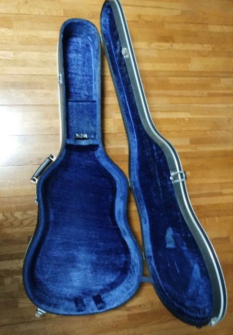 ギター Epiphone Casino VS