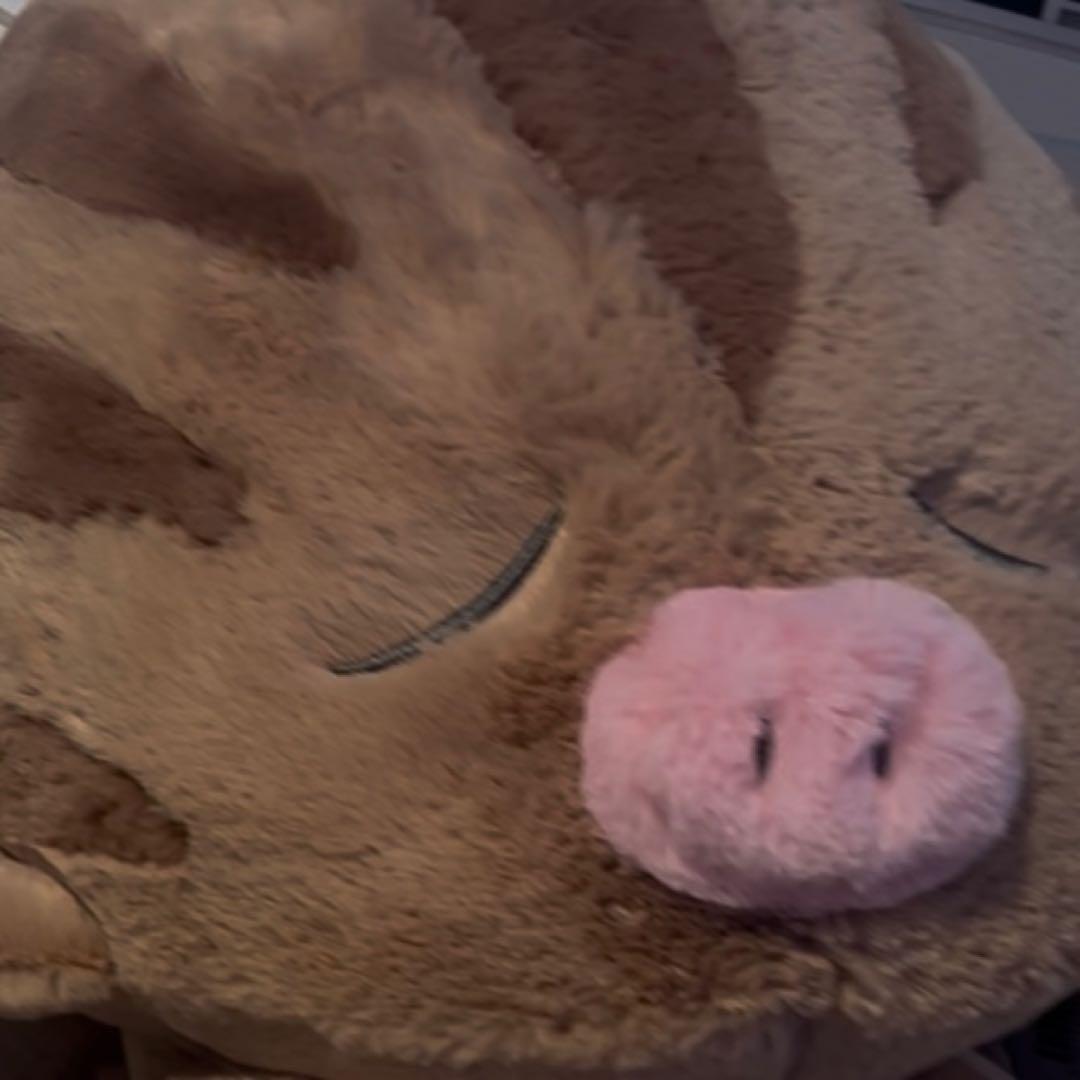 ふわふわ抱きぬいぐるみ アローラロコン　ウリムー　ゴンベ　ニャスパー